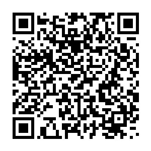 话说谁有机会见几千年前的第一强者这种偶像怕是都得有这么个心情二维码生成