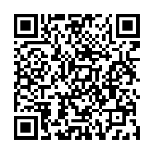 话说那向马易发起挑战的人正是毛利家的家主毛利家康也二维码生成