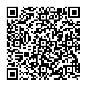 话还未说完便剧烈的咳嗽了两声显然是遭到了反噬有些话不能乱说当然也要看是什么身份二维码生成