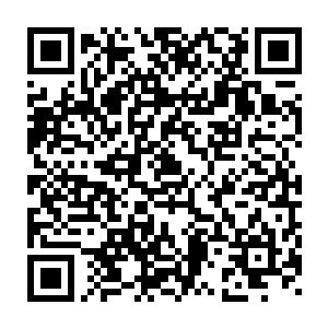 诞生出来的后代凤凰血脉肯定要比你们现在凤家的血脉要浓郁的多二维码生成