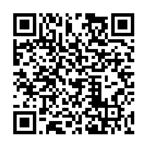 询问过千机阁的实力和千机阁客卿义务职能和好处之后二维码生成