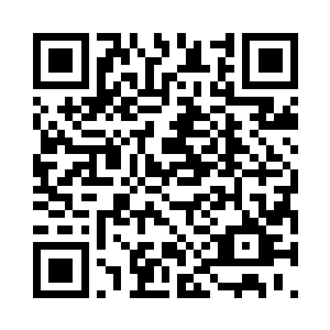 该不会是我们飞机的系统被黑客入侵了吧二维码生成