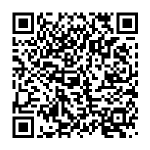 该功能的开启是因为林光山在这些研究实验中被折磨得快精神崩溃了二维码生成