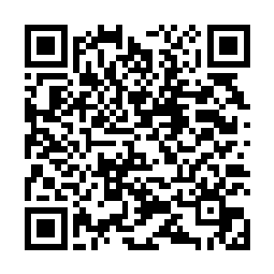 该如何来对付这个近期每天来千粒金田地里逛一圈的贼二维码生成