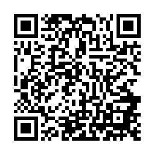 该盾可以抵御消除一个对手施加在我方身上的特殊效果二维码生成