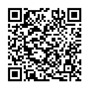 该让我的客人平常一下我自己的酒庄出产的葡萄酒二维码生成