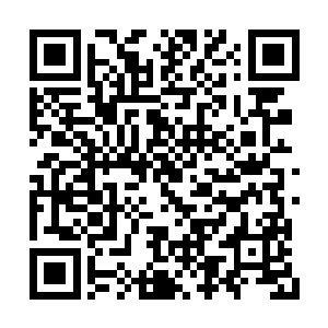 该运动史上最有价值的机器人设计师重出江湖呢二维码生成