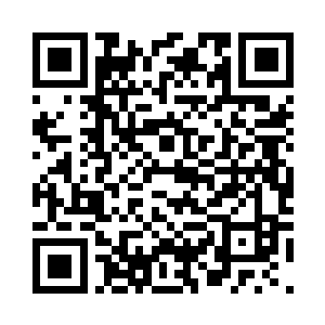 详细的记载了启明港非法所得的去向二维码生成