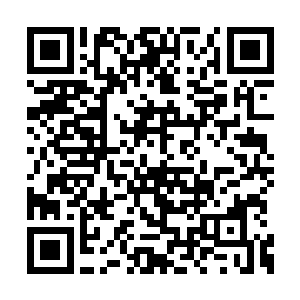 误以为是用来吸引他们注意力的障眼法置之不理二维码生成