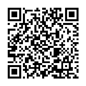 诱惑不下于一名瘾君子面对着一屋子各式各样的毒品二维码生成