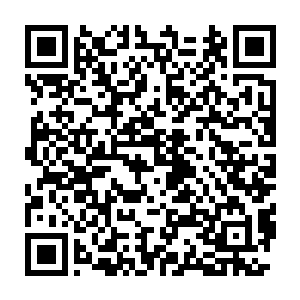 诱惑实在是太大……那意味着能不能成为我们最想要成为的生命形态二维码生成