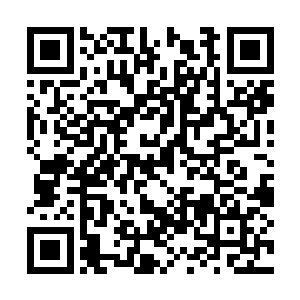 说不准儿都在心里祈祷着贝海能够定下自己的花环二维码生成