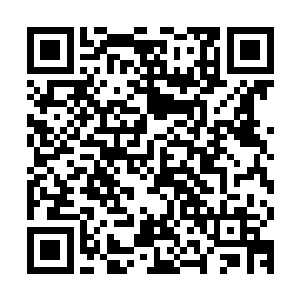 说不准过了几年之后又有人好了伤疤忘了疼再给我当起了小尾巴二维码生成