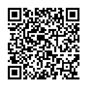 说不出的和平安静同步映入叶笑与君应怜的眼中二维码生成