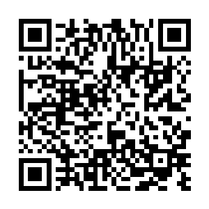 说不定丁林和赵淑英就跟着两个小家伙一同的去京城了二维码生成