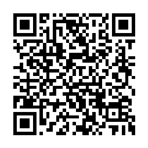 说不定乃是整个天得初开之时就存在的超级大能二维码生成