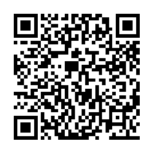 说不定他不需要借助通天藤都有可能踏入生死境二维码生成