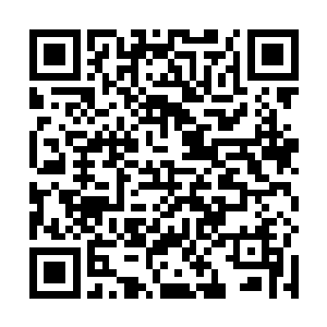 说不定他们佩城已经像天下第一山庄的那几个对手一样二维码生成