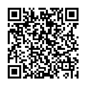 说不定他们发现星龙爵陛下的永眠葬曲有神奇的力量二维码生成