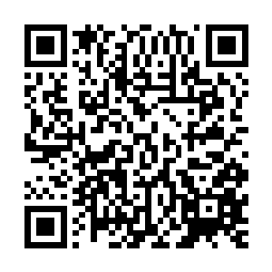 说不定他们在走路的时候就能说一些关于嘉果之松的最新消息二维码生成