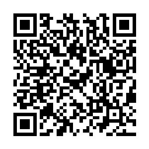 说不定他未来也可以在海面上复制一个类似的项目二维码生成