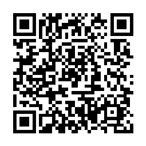 说不定他还真会考虑入这个什么狗仔协会玩一玩二维码生成