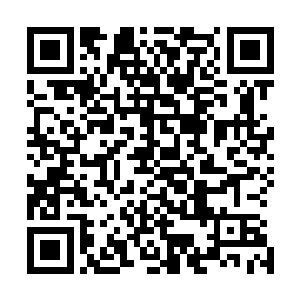说不定仙主这些人就会联合百族逼迫许紫烟交出百族试炼场二维码生成
