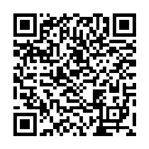 说不定你待会又把我们从楼下调动到了皇宫里面去造反了二维码生成