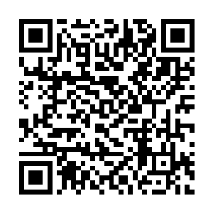 说不定又会出现一位年龄在18岁以下的化形境武者二维码生成