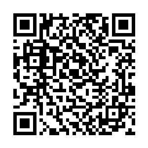 说不定可以抢在所有人面前得到水晶雕像以及彩虹泉二维码生成