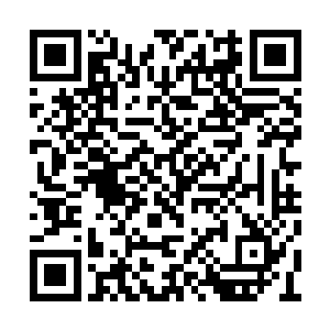 说不定因为自己人马最多还能当上镇海山的山主二维码生成