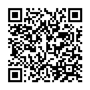 说不定她将她祖父留下来的东西学会后更甚于其祖呢二维码生成