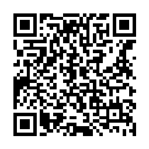 说不定孙子轩头脑中生出一些意识就会被直接弄死呢二维码生成