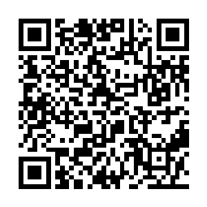 说不定小灵在佣兵之城的地位比大长老天剑还要高呢二维码生成