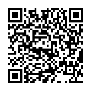 说不定我们的大祭司看你们可怜的份上还会给你们一条活路二维码生成