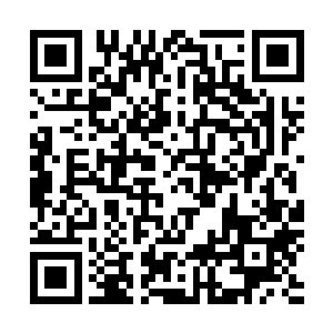 说不定我还能在接下来的日子里找到品级更高的紫云仙桃了二维码生成