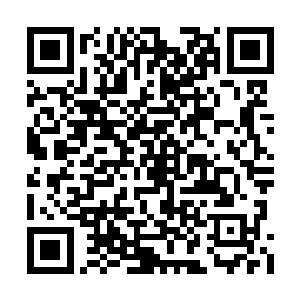 说不定斯特林将军辛苦组建的部队都要投入进去二维码生成