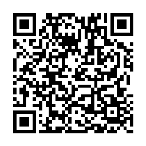 说不定早就成为大圆满二重天乃至三重天强者了二维码生成