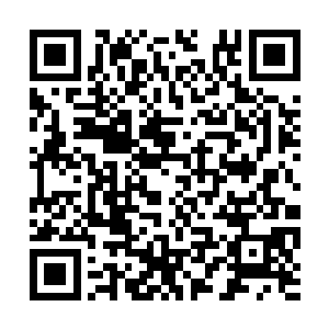 说不定是你在这个世界上唯一的亲人了哦……啧啧二维码生成