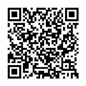 说不定是西班牙人的船只在港湾里自己倾覆了呢二维码生成