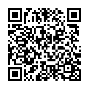 说不定杨开留下的那个印记会失去作用或者被他发现二维码生成