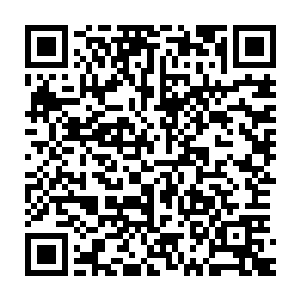 说不定母亲真的会从床上跳起来去镇子上的汉堡王吃上十几个汉堡似的二维码生成