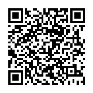 说不定现在他已经在某个暗处也用狙击枪对准了我二维码生成