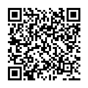 说不定现在她真的已经拥有了超越五大至尊的实力二维码生成