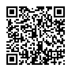 说不定真的会一边挨骂一边上去巴心巴肝的照顾呢二维码生成