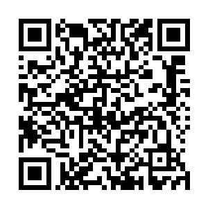 说不定眼下大公子和周将军已经联手攻破了阳曲关也不一定二维码生成