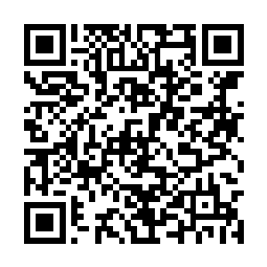 说不定还会治瑾枫园所有的丫鬟婆子一个失职之罪二维码生成