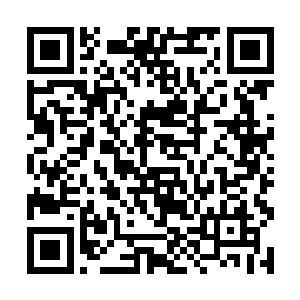 说不定还有九阶剑王这等超级强者所留下的恐怖痕迹二维码生成