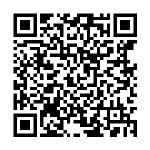 说不定还需要殊大人亲自过问……所以你就等着吧二维码生成