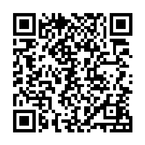 说不定这块毛料里面会开出绮罗玉或者高档的玉石也说不定二维码生成